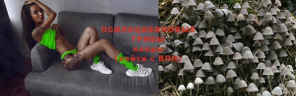 мяу мяу мука Краснотурьинск