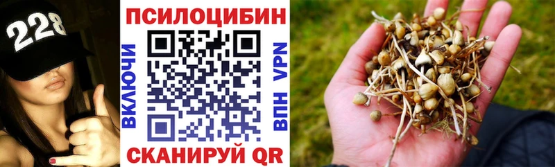 Псилоцибиновые грибы ЛСД Купить закладки Ишим