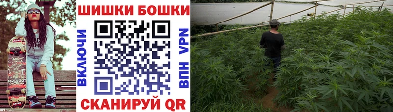 Канабис Bruce Banner Купить Ишим